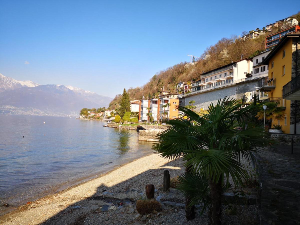 1 Zimmer Apartment Mit Seesicht Und Pool Gambarogno Exterior foto